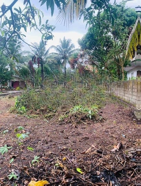 17 Perches Land for Sale in Nittambuwa Kalalpitiya