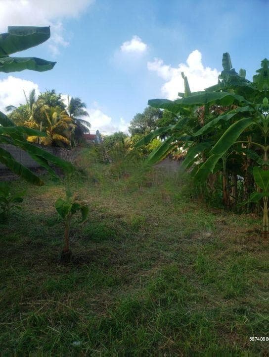 Land For Sale in Ragama (SSPL-256)
