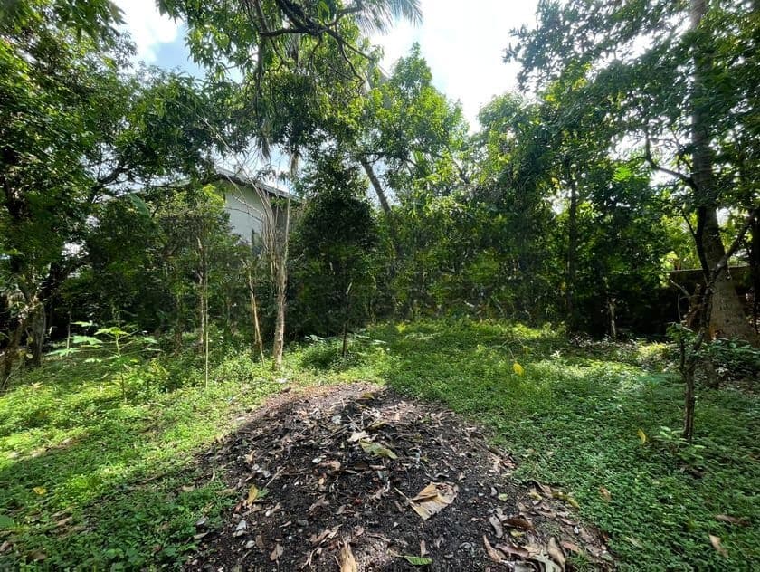 Residential Land for Sale in Nawala (c7-9962)