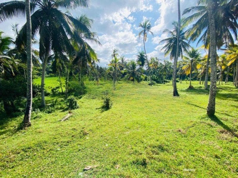 6-Acre Ahangama Wellness Ridge | 10 Min to Highway, 15 Min to Beach | Direct Buyers Only – NO BROKERS