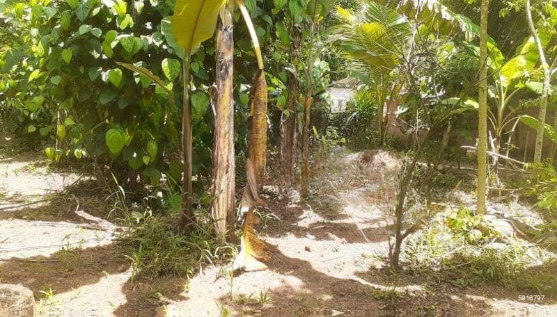 15.9 Perches Land For Sale in Kadawatha (SSPL-461)