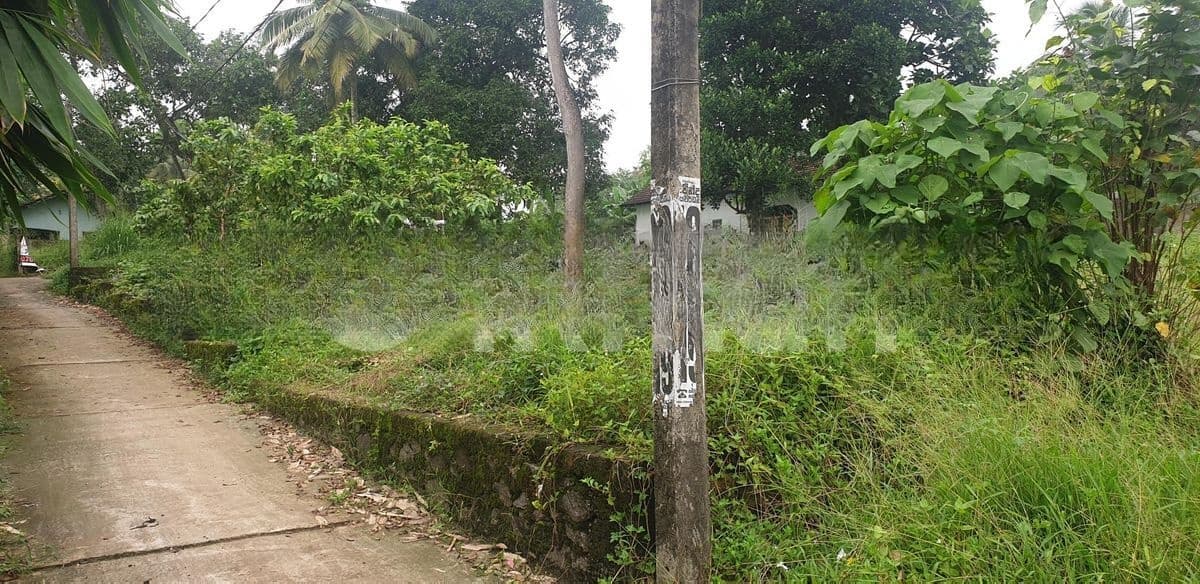 Land for Sale Seeduwa