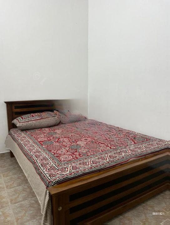 Single Storied House For Rent in Colombo 6 - PDH184