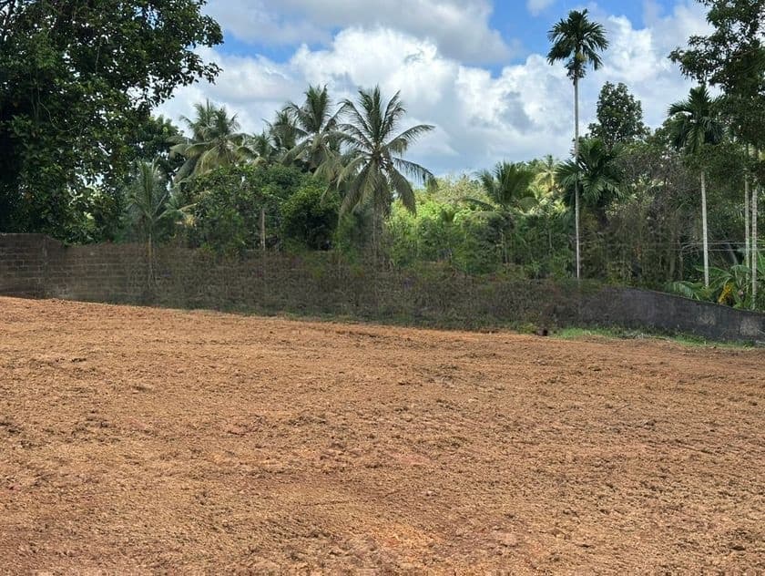 Land in Homagama town facing paddy field