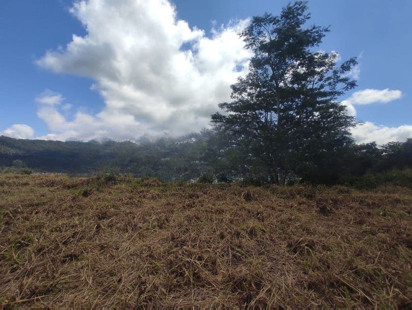 Pussalawa නගරයට ආසන්නව ඉඩමක්