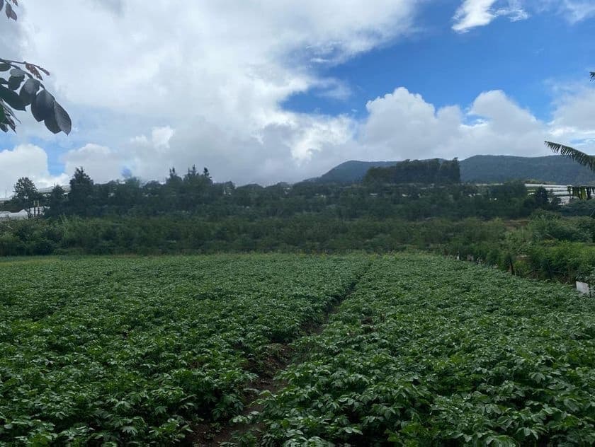 Land For Sale in Nuwara Eliya (SSPL-437)