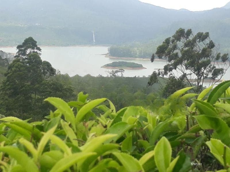 200 Acres Tea Estate And Tea Factory For Sale In Hatton Area.