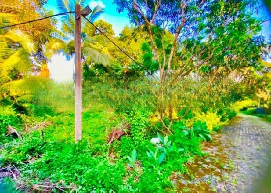 Malabe : 30 perches Land for Sale at Akuregoda