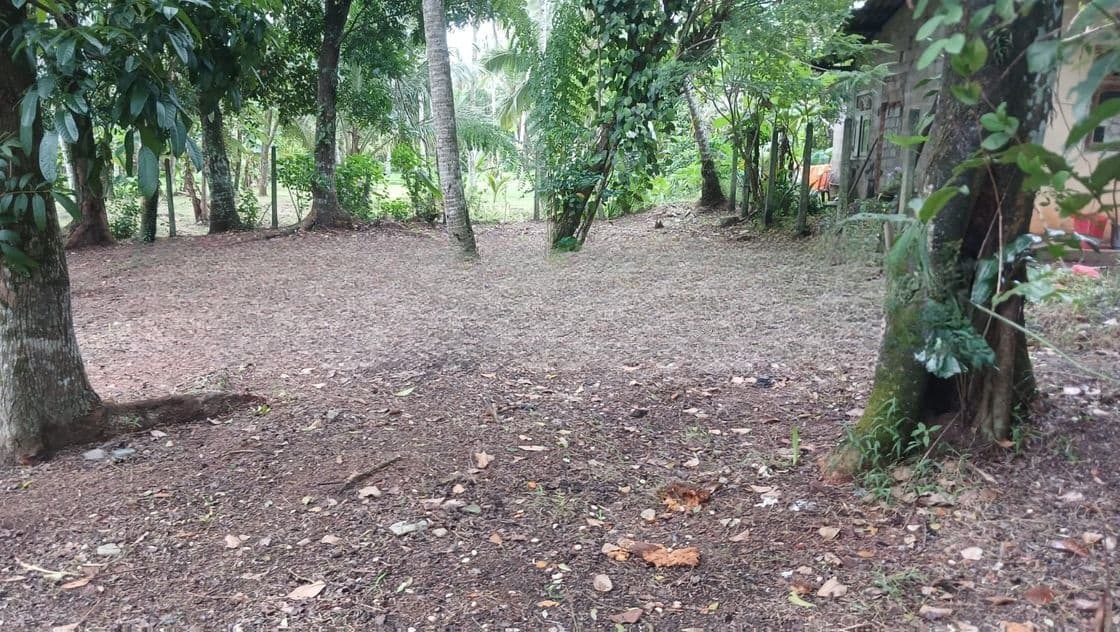 Land for Sale Yakkala