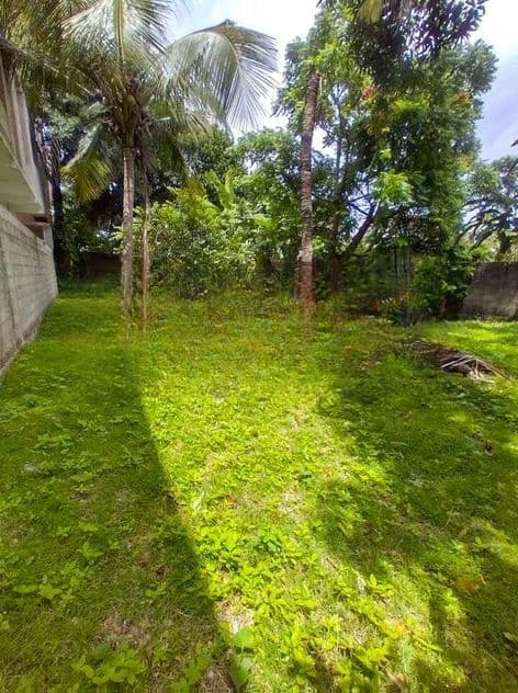 14 P Super Land for Sale in Dehiwala Kalubowila - 100m to Hospital