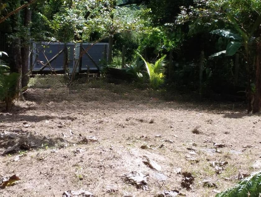 26.5 Perch LAND for SALE in SEEDUWA
