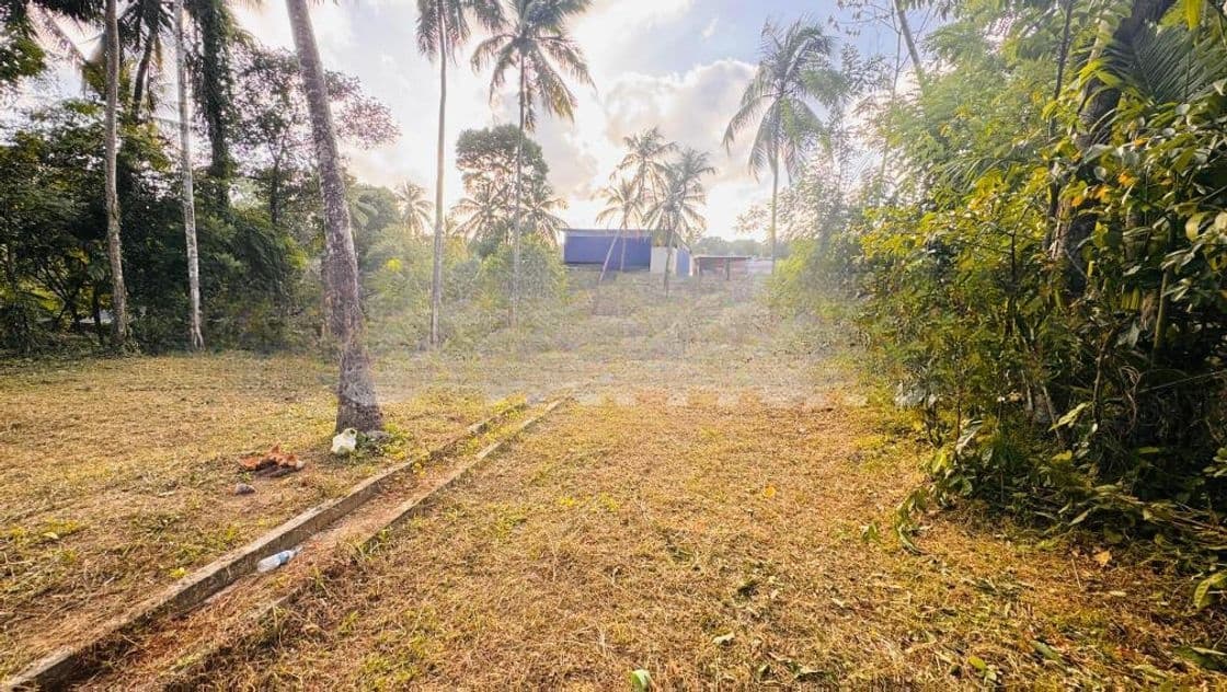 Land for Sale in Kadawatha