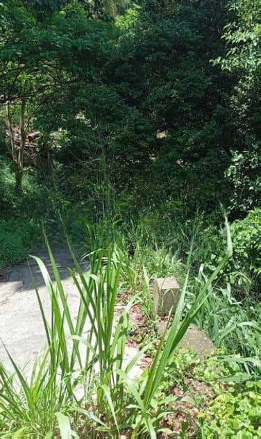 Land for Sale Kandy