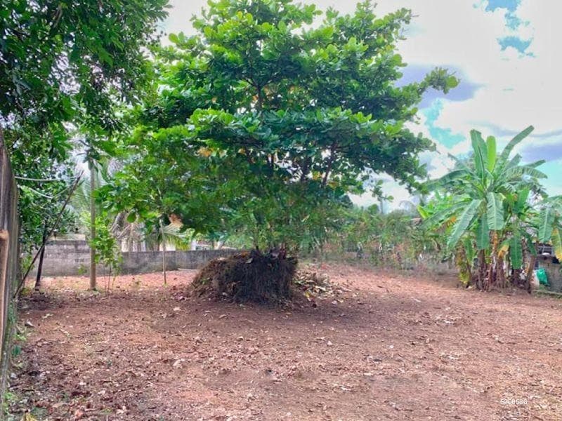 28 Perches Highly Residential Land for Sale in Kirillawala, Kadawatha.