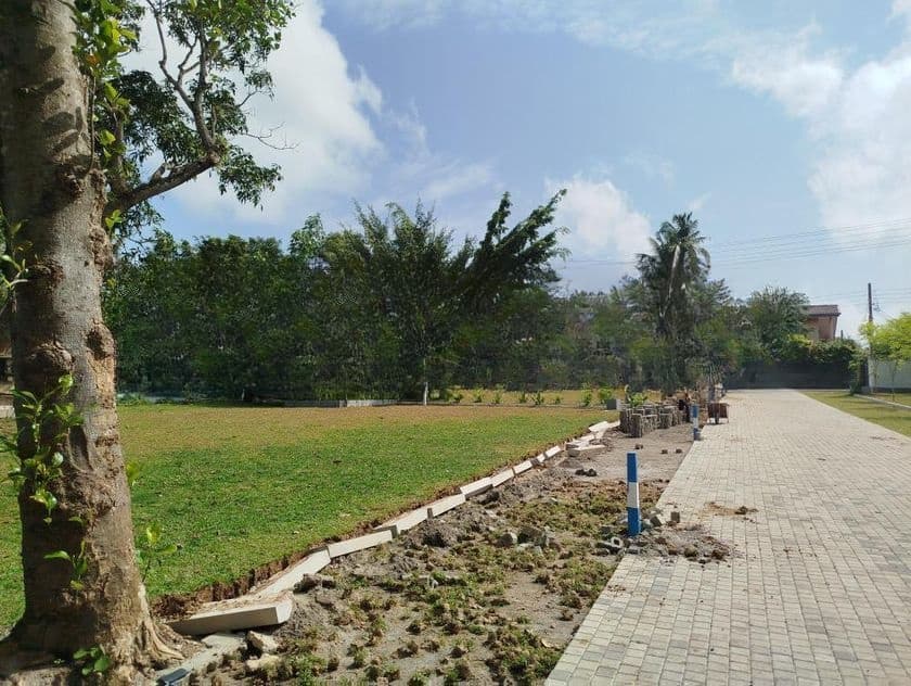 බොරලැස්ගමුව ගංගාරාම පාරෙන් බිම් කොටස් විකිණීමට