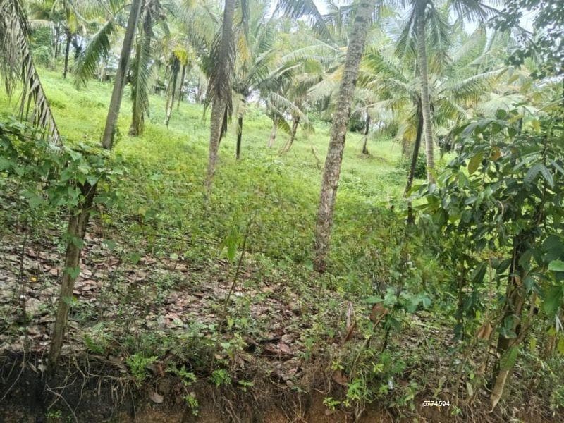 Malabe - Kothalawala Near the SLIIT 02 Acres of Commercial Land with a 10,000 sq.ft Building for Immediate Sale