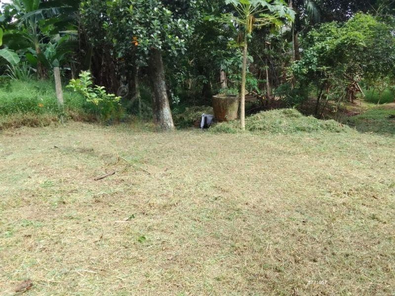 10 P Bare Land for Sale in Thalawathugoda (SL 14091)