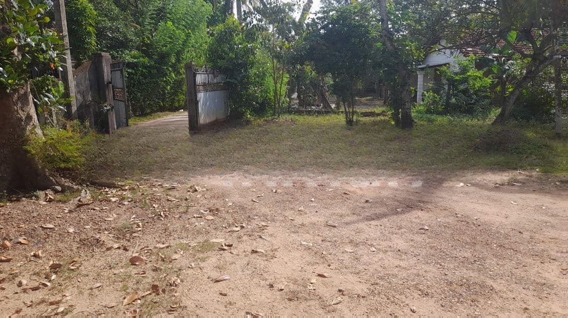 ගනේමුල්ල නගරයෙන් ඉඩමක් විකිණීමට