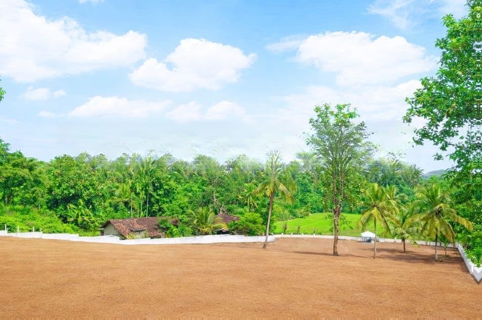 Superb Residential Land for Sale in Dambadeniya P8