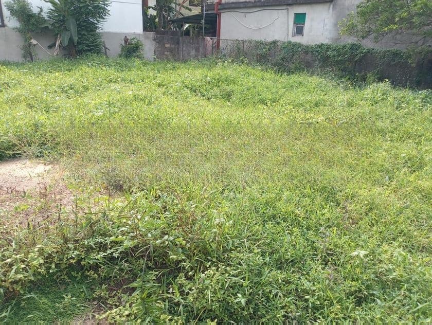 Super Land for Sale Boralesgamuwa