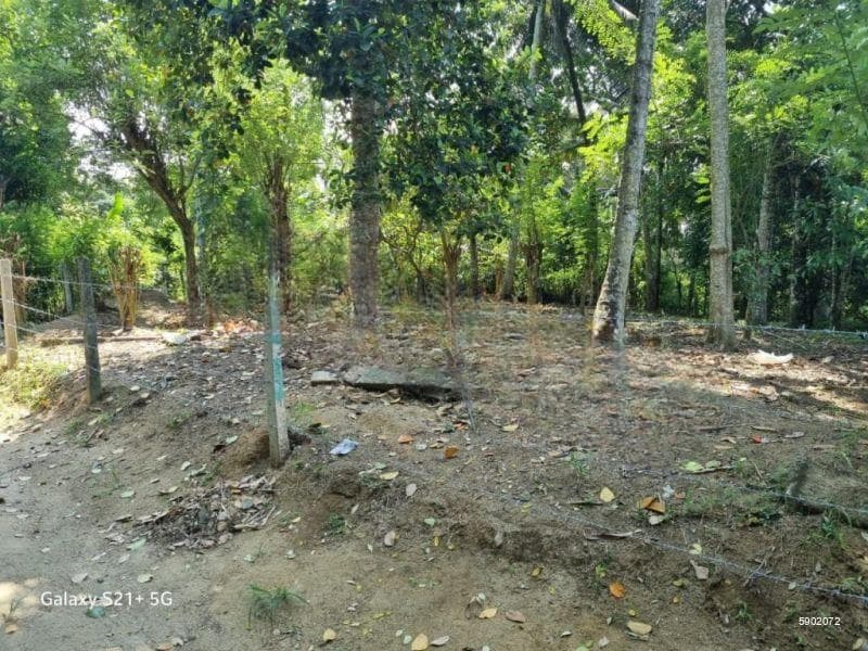Kandy - Kundasale 21.13 Perches Land for Sale (SSPL-415)