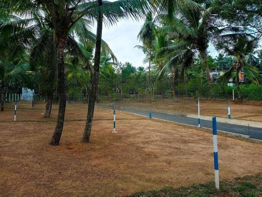 කඩවත වෑබඩ පර්චස් 6.5 බිම්කොටස්