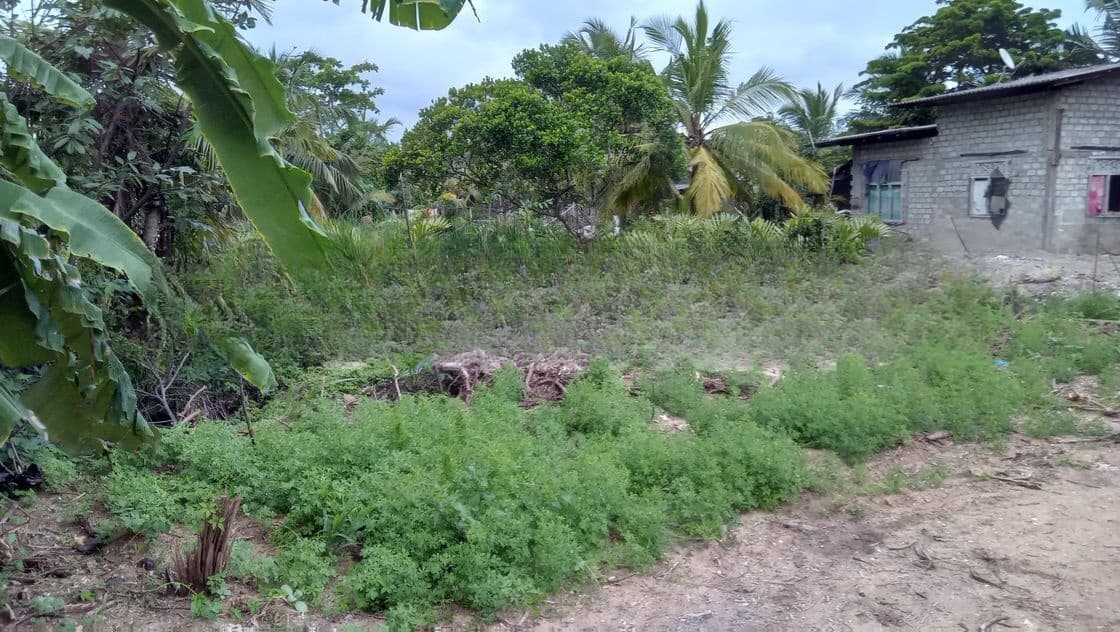 1 Acre Commercial Land for sale in Uswetakeiyawa (C7-10296)