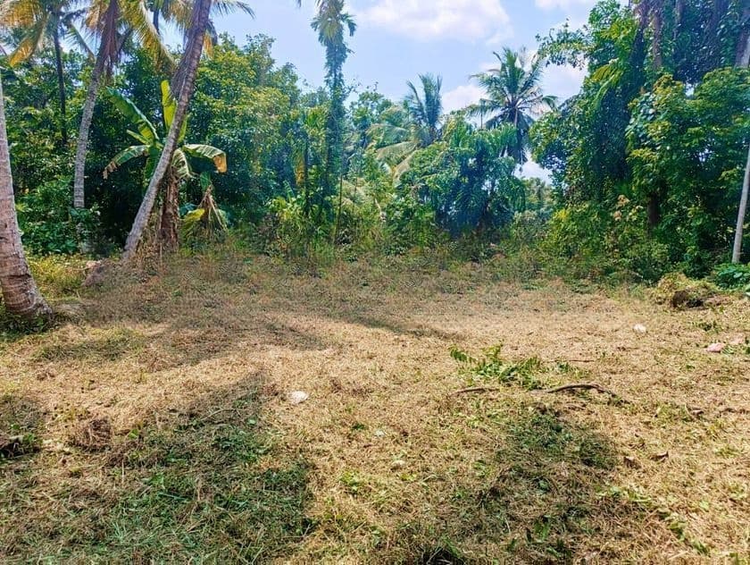 වෙල්යායකට මයිම් පර්චස් 14 ක වටිනා ඉඩමක් විකිණීමට