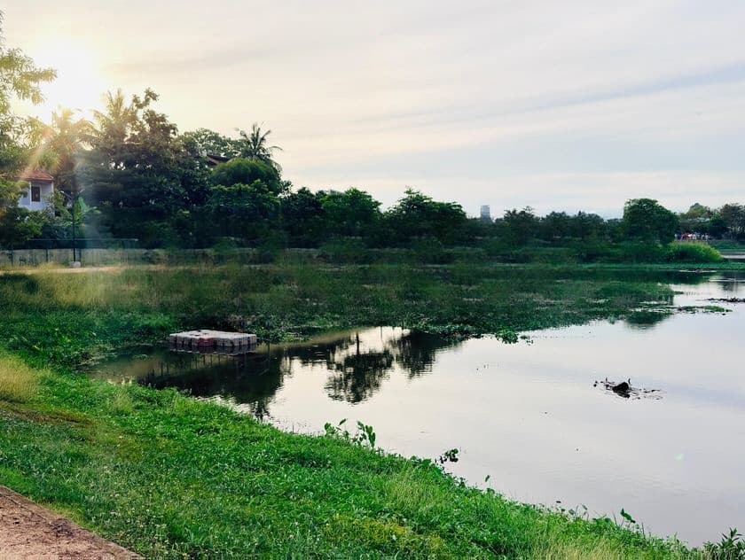 (AFA81) 13.5 P Land Sale At Suriyamal Mawatha Delkada Nugegoda
