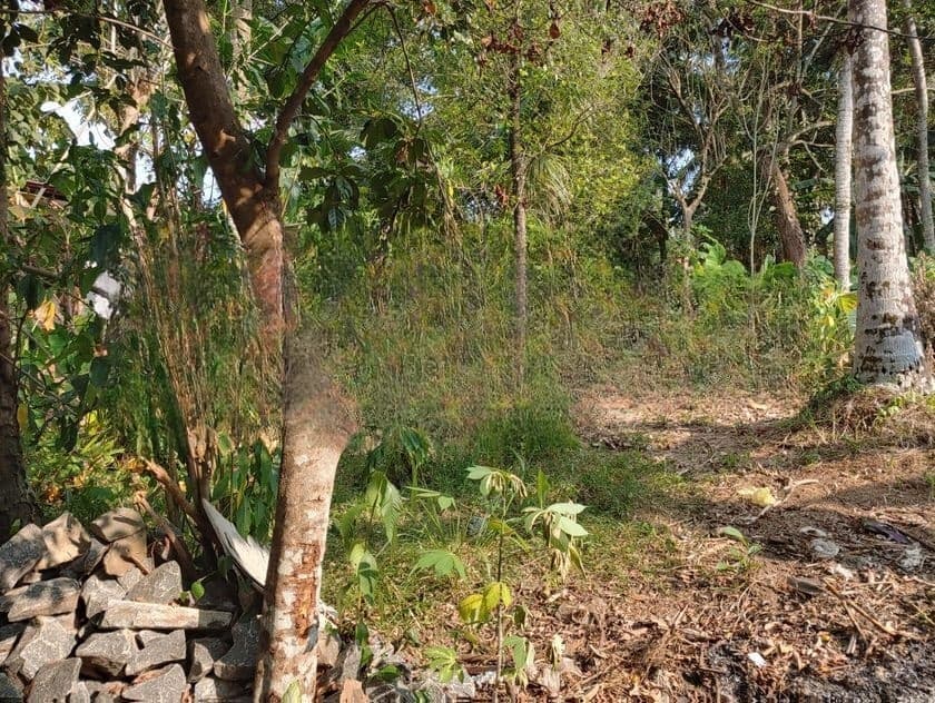 Land for Sale – Near Kandy Colombo Main Road (Kandahena Road)