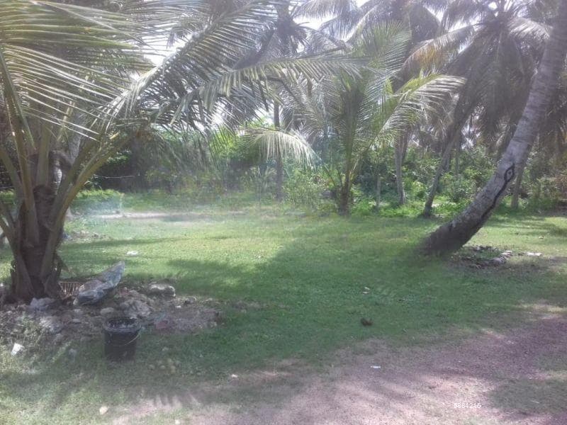 Lands For Sale With Commercial Purposes