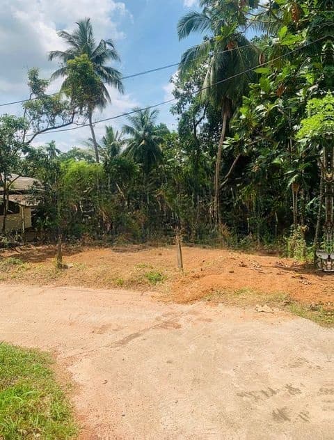 යක්කල නගරය ආසන්නයෙන් වටිනා නේවාසික බිම් කොටසක් / YS 14729