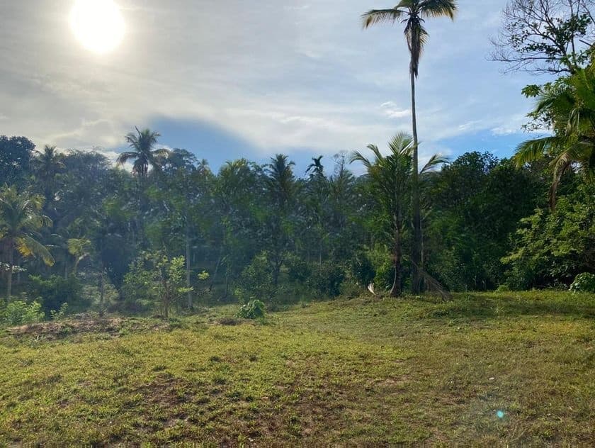 Galle : 2 Acres Prime Land for Sale - Ahangama