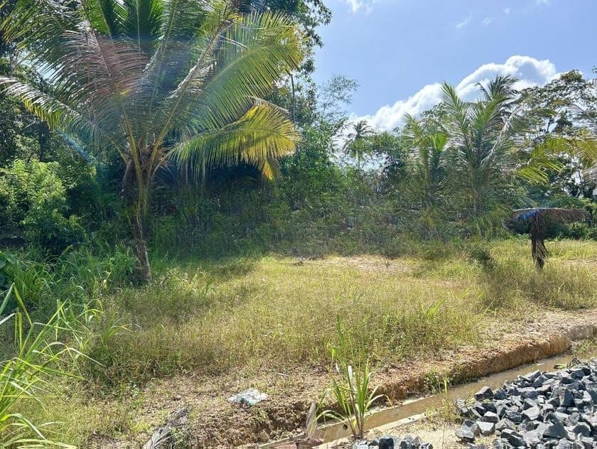 ගාල්ල ජයන්ති හංදියෙන් අගනා බිම් කොටස්