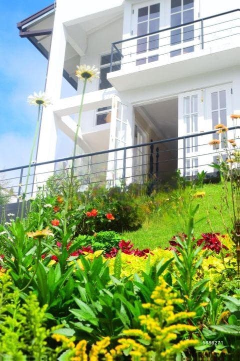 Luxury 6 Bedroom 4177 Sqft Bungalow in Nuwara Eliya | SH15041