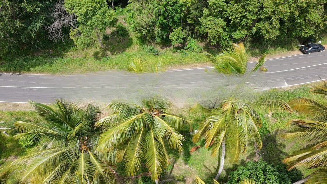 කුරුණෑගල – මොරගොල්ලාගම පර්චස් 90 ක පොල් ඉඩමක් / SA 11395