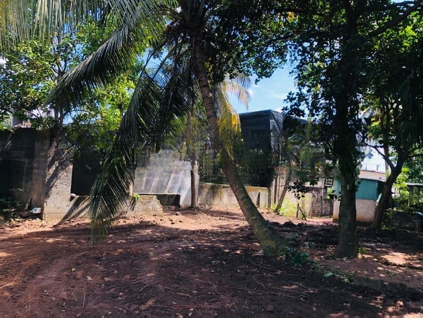 Nugegoda : 13.7 perches Land for Sale at Udahamulla