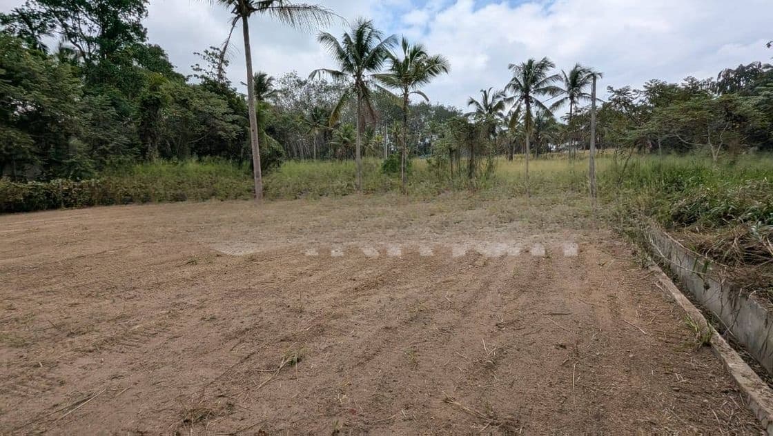 Udugampola සුපිරි වෙල් යායට මුහුණලා ඇති වටිනා ඉඩමක් විකිණීමට