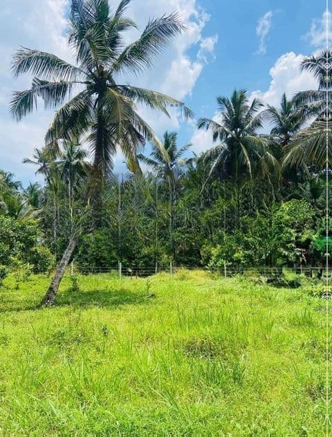 Valuable Land Sale High Level Road Godagama