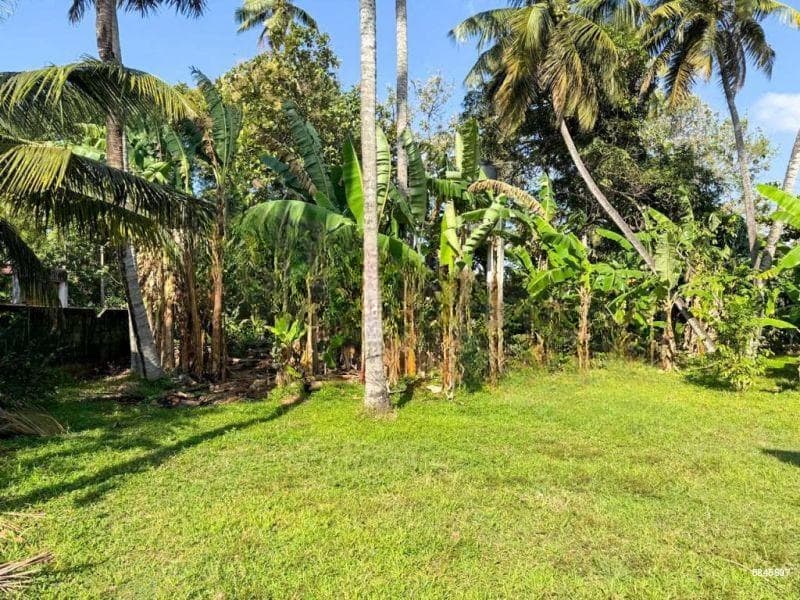 Land for Sale in Wattala