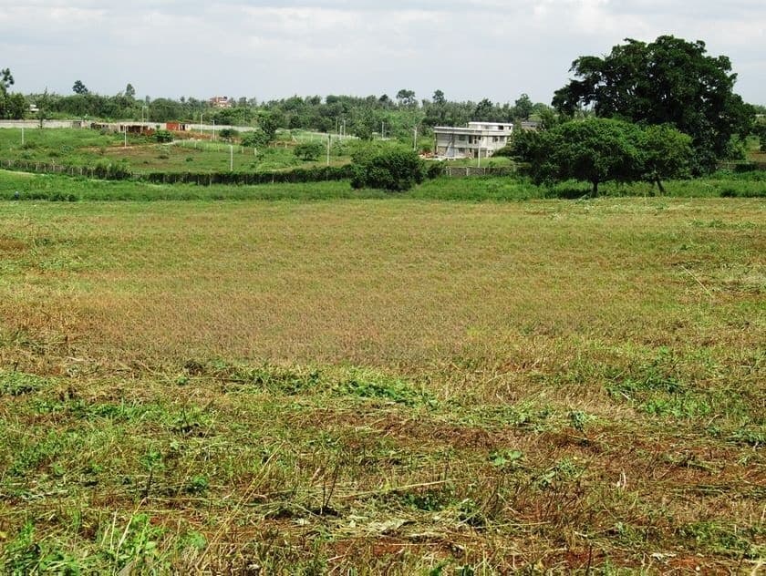 LAND FOR SALE IN KOTTAWA- (LS -- 639)
