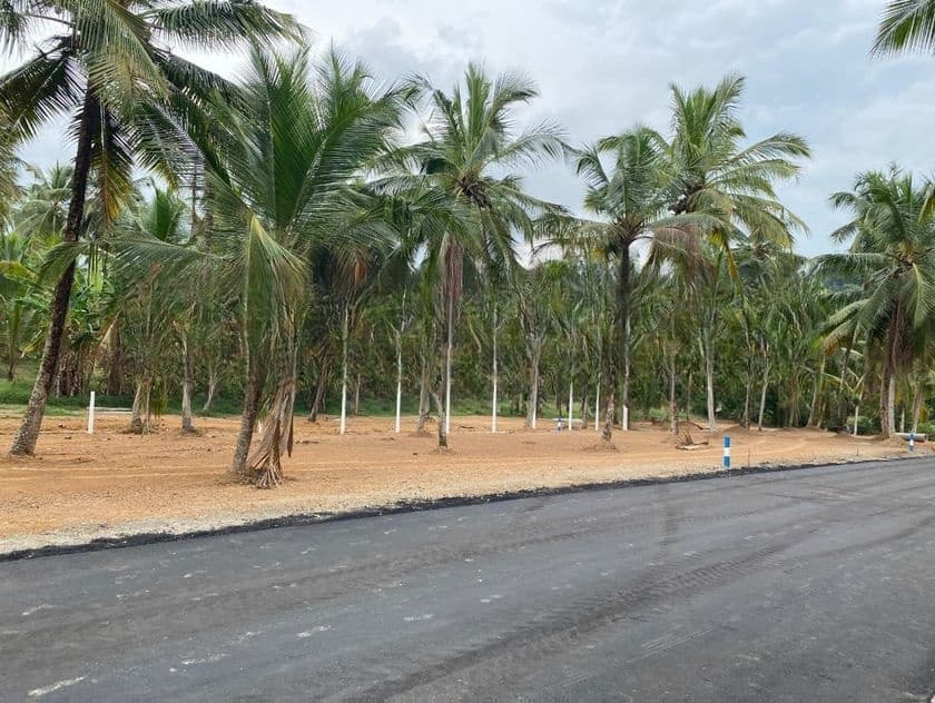 කඩවත , වෑබඩ බිම්කොටස්