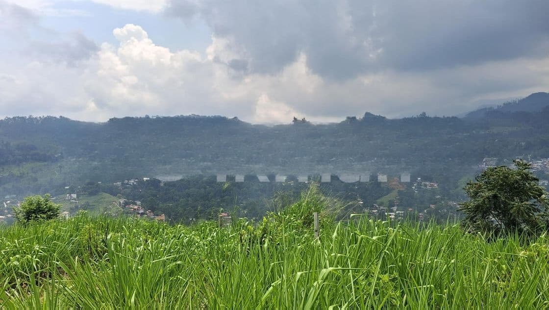 Valuable Land for Sale in Pussellawa Wahurupitiya