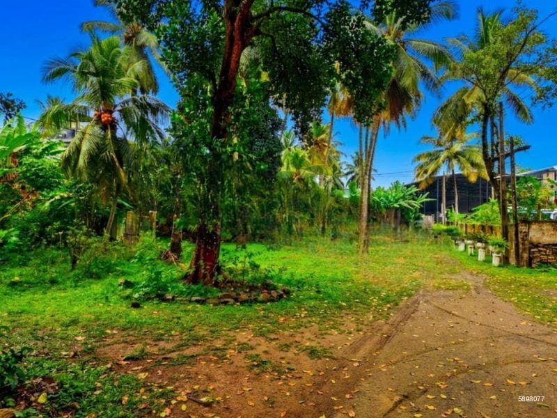 Land for Sale in Kelaniya
