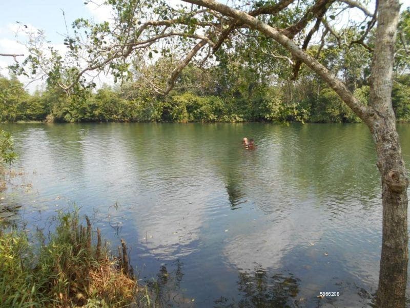 🌊 Rare Waterfront Mega Land Investment – Aluthgama-bentota 🌊12 Acres + 38 Acres💎total 50 Acres🌿