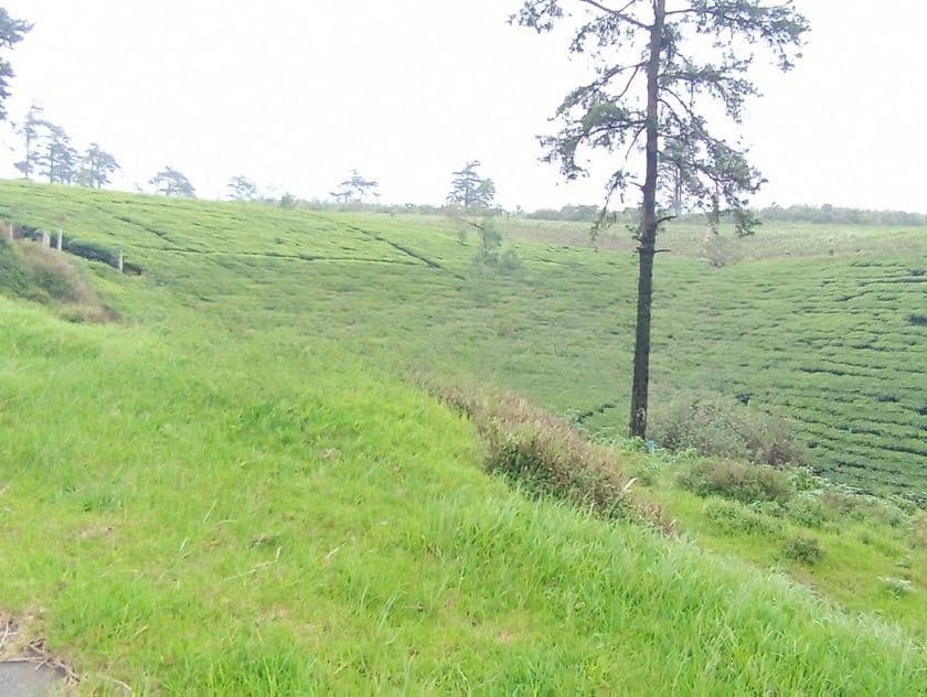 View Point Land for Sale Nuwara Eliya Road