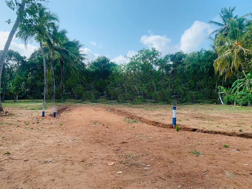 සින්නක්කර ඉඩමක් සාලියපුර අනුරාධපුර