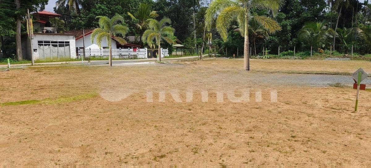 Valuable Land for Sale Minuwangoda