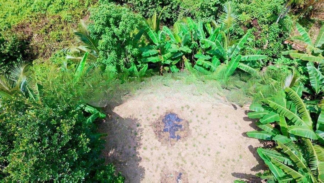 කැළණිය ගෝනවල පර්චස් 17 වටිනා ඉඩමක් / ST 13338