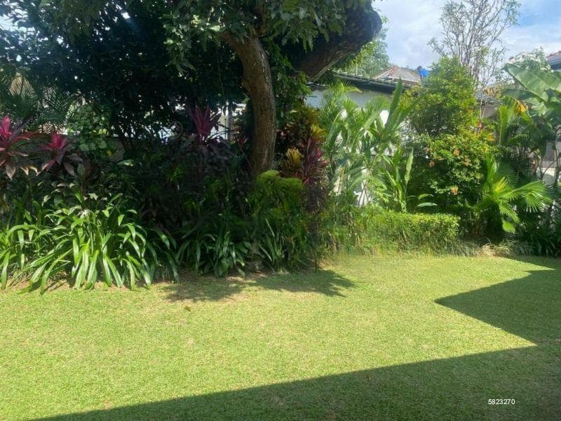 House for sale in Colombo 7 with garden area / 23.64 perches